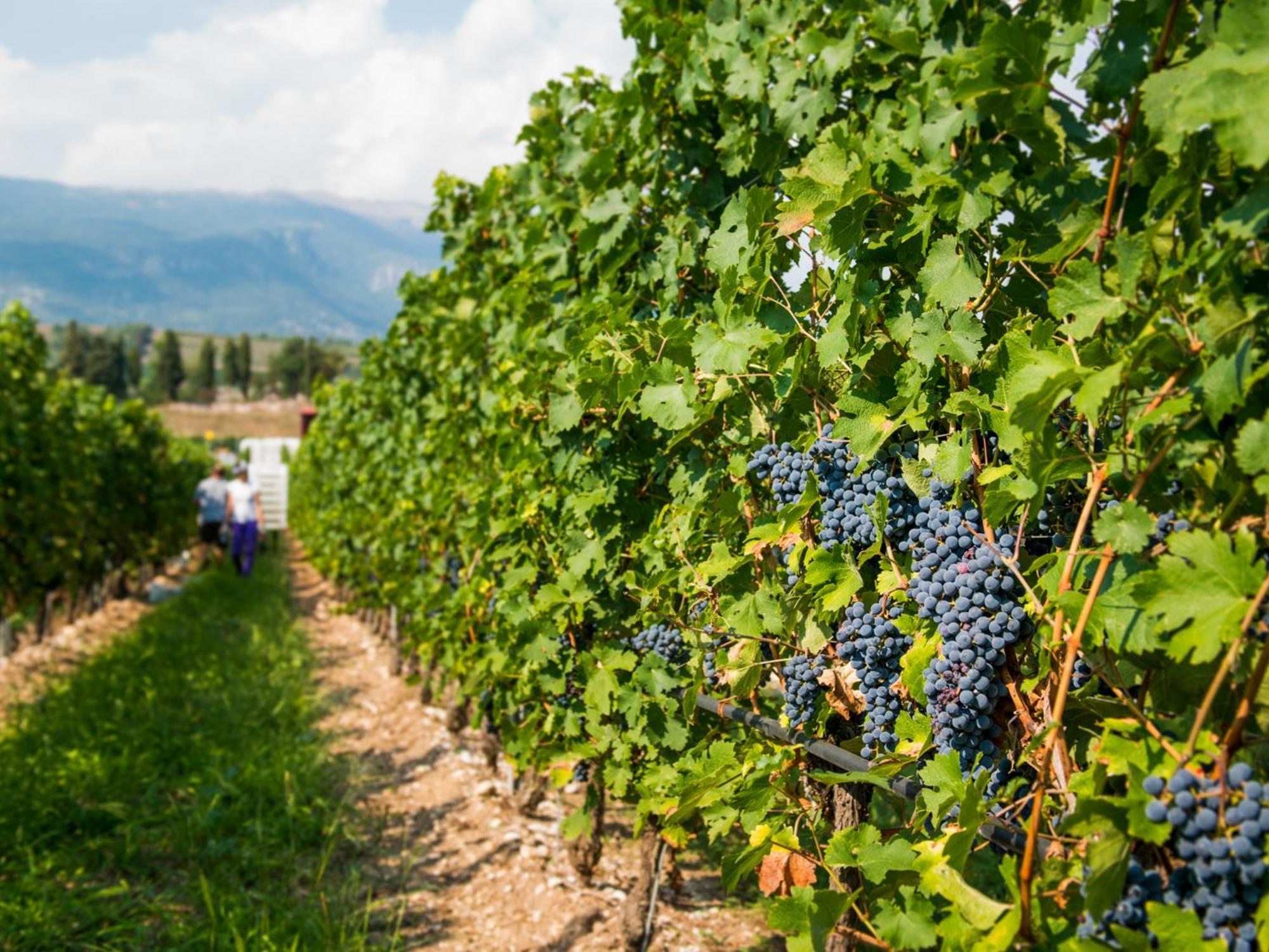 Tenuta La Presa Caprino Veronese Zewnętrze zdjęcie