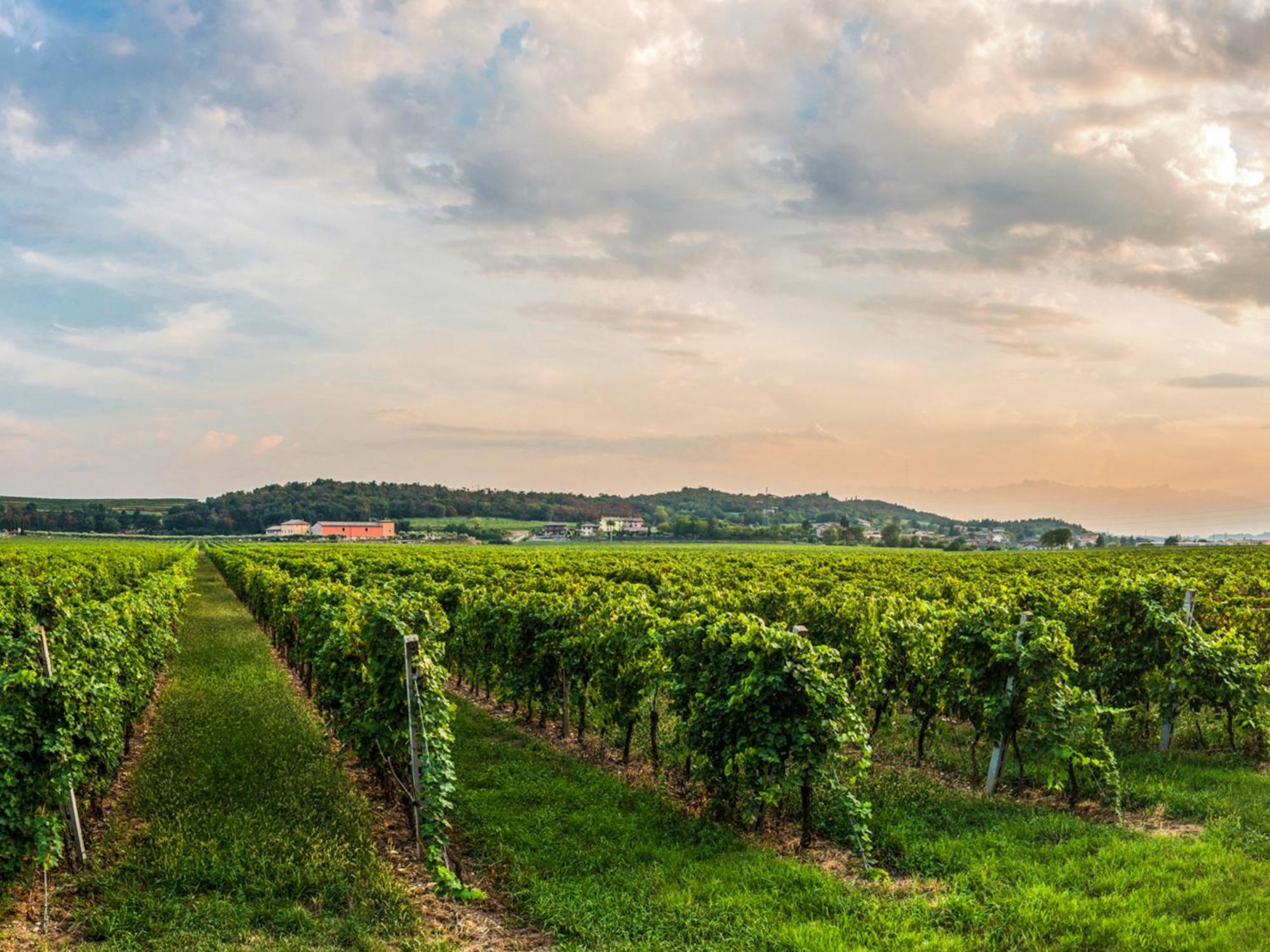 Tenuta La Presa Caprino Veronese Zewnętrze zdjęcie
